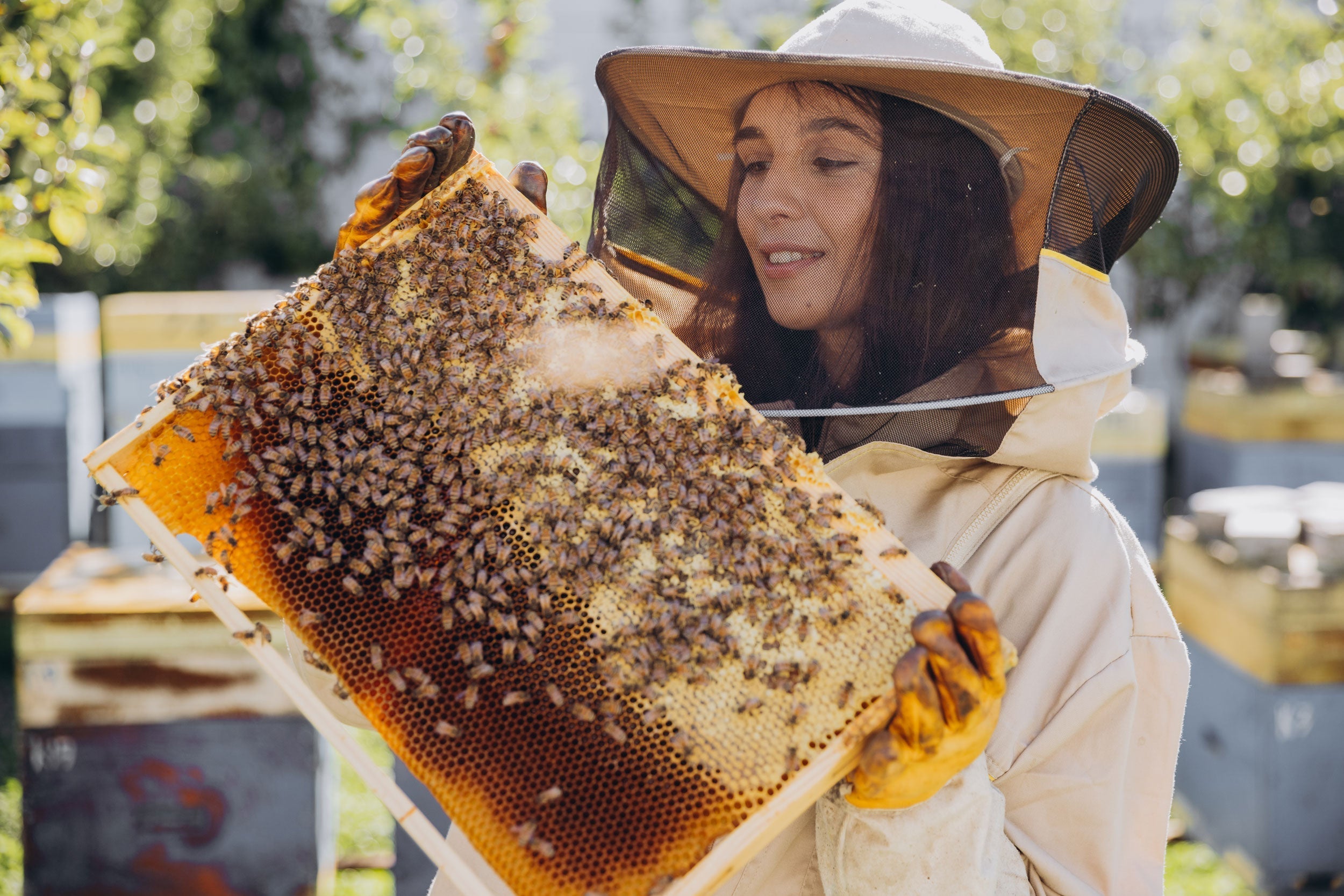More Than Sweet: Why Real Honey Deserves a Spot in Your Kitchen