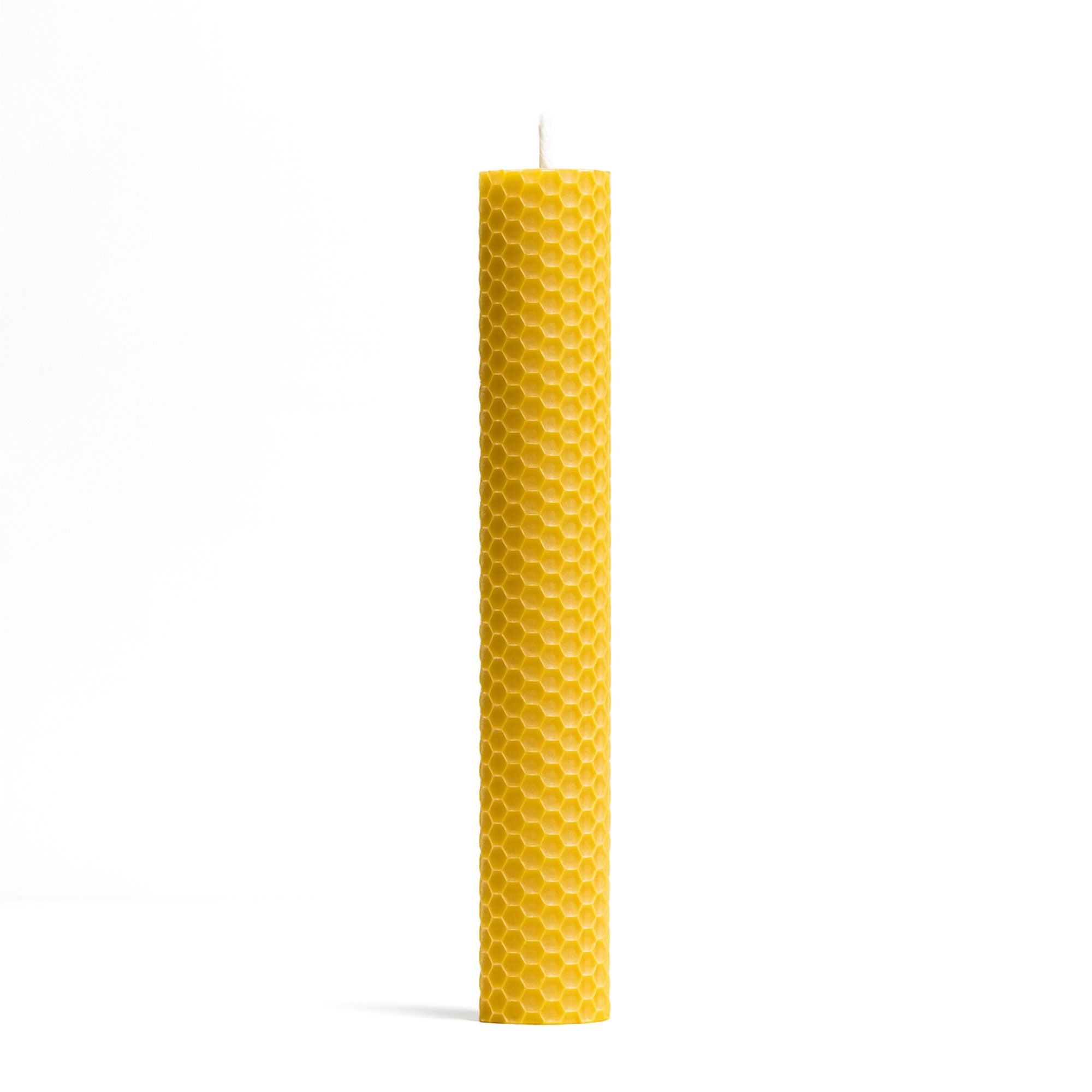 Candle Of Hive 19.5cm